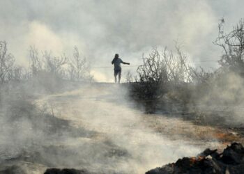 Two dead, homes burn in massive Cyprus wildfire – AL-Monitor