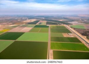 Cabinet transfers 16 land plots in southern Kyrgyzstan to State Mortgage Company for housing development – AKI Press