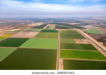 Cabinet transfers 16 land plots in southern Kyrgyzstan to State Mortgage Company for housing development – AKI Press
