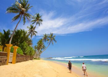 Sri Lankan President Dissanayake to visit Maldives to boost bilateral ties – theweek.in