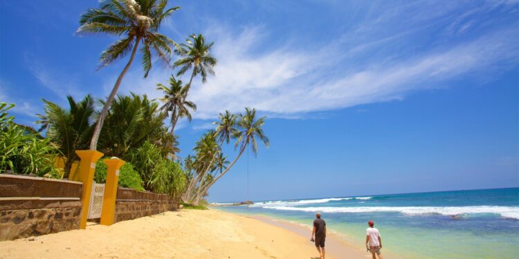 Sri Lankan President Dissanayake to visit Maldives to boost bilateral ties – theweek.in
