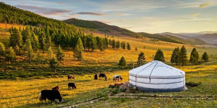 Mongolia keeps mining for growth amid economic uncertainty – East Asia Forum