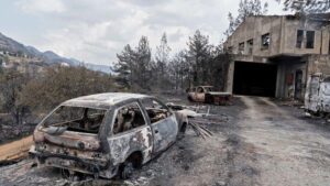 Deadly Cyprus wildfire claims two lives, forces mass evacuations – Al Jazeera