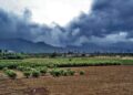 Monsoon picks up, Nepal braces for impact – Asia News Network