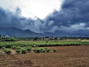 Monsoon picks up, Nepal braces for impact – Asia News Network