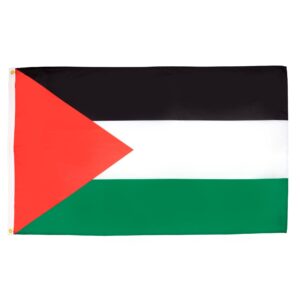 Palestine beat Pakistan to clinch West Asia Baseball cup title – Geo Super