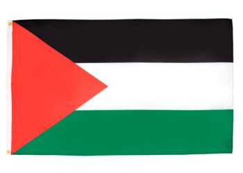 Palestine beat Pakistan to clinch West Asia Baseball cup title – Geo Super