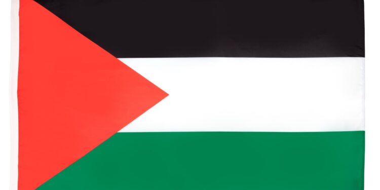 Palestine beat Pakistan to clinch West Asia Baseball cup title – Geo Super