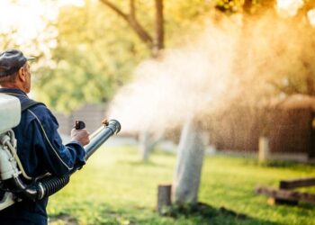 Mosquito spraying taking place in Lebanon County next week – ABC27