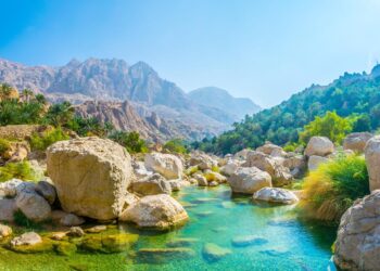 Oman ranks first in West Asia in Open Data – Oman Observer