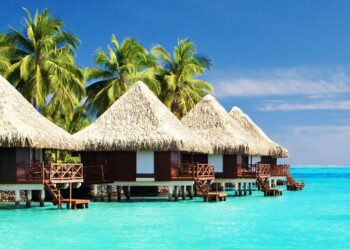 Maldives urged to reject death penalty for drug trafficking and end the practice permanently – JURIST Legal News