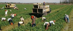 Workplace bullying cases of migrant workers in South Korea tripled since 2020, many more likely uncounted – Asia News Network
