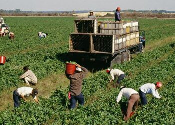 Workplace bullying cases of migrant workers in South Korea tripled since 2020, many more likely uncounted – Asia News Network