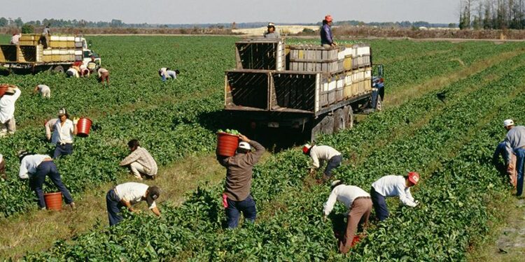 Workplace bullying cases of migrant workers in South Korea tripled since 2020, many more likely uncounted – Asia News Network