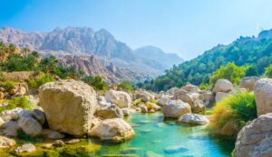Oman takes part in Brunei Darussalam Book Fair 2025 – Times of Oman