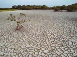 How can peer-to-peer partnerships solve water scarcity in Lao PDR? – PreventionWeb