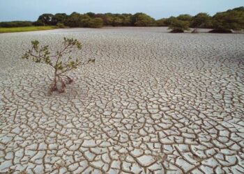 How can peer-to-peer partnerships solve water scarcity in Lao PDR? – PreventionWeb