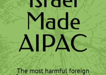 Israel’s foreign influence is the most unrelenting in US history – Responsible Statecraft