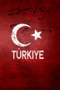 Türkiye, Azerbaijan eye deeper energy collaboration for regional stability – Aze.Media