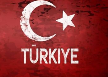Türkiye, Azerbaijan eye deeper energy collaboration for regional stability – Aze.Media
