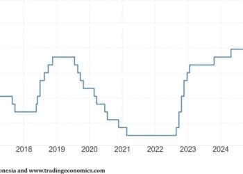 Indonesia’s surprise rate cut, growth gambit put rupiah in the crosshairs – Reuters