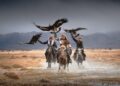 Meet the eagle hunters of Mongolia – Travel Weekly Asia