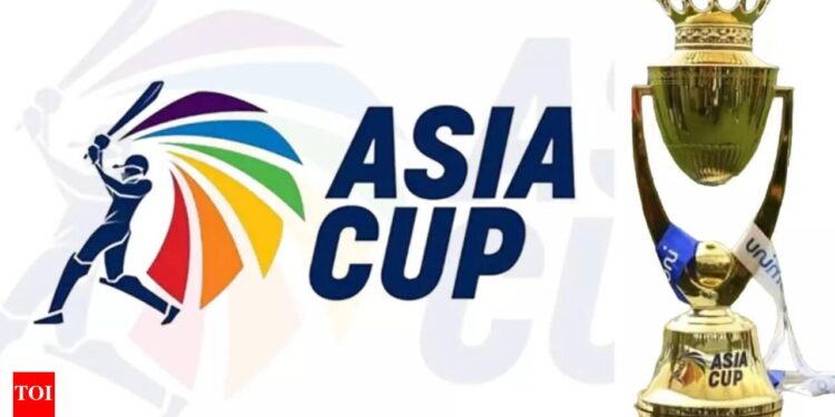 Asia Cup: Post-conflict India vs Pakistan cricket match divides opinion – Al Jazeera