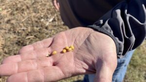 China trade freeze squeezes US soybean farmers as costs climb, profits vanish – Fox Business