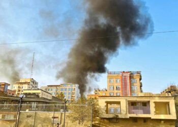 Afghanistan And Pakistan Agree Cease-Fire After Deadly Air Strikes And Ground Fighting – Radio Free Europe/Radio Liberty