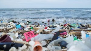 Malaysia stops accepting plastic waste from the U.S. and other rich nations – PBS