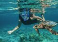 Maldives Sets Guinness World Record for Largest Snorkeling Activity at Baani Event in Baa Atoll – Travel And Tour World