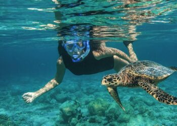 Maldives Sets Guinness World Record for Largest Snorkeling Activity at Baani Event in Baa Atoll – Travel And Tour World