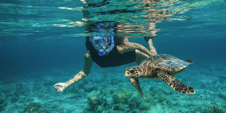 Maldives Sets Guinness World Record for Largest Snorkeling Activity at Baani Event in Baa Atoll – Travel And Tour World