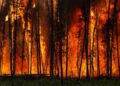 Wildfires force Turkey to shut Dardanelles Strait to shipping – BBC