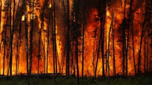 Wildfires force Turkey to shut Dardanelles Strait to shipping – BBC