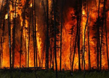 Wildfires force Turkey to shut Dardanelles Strait to shipping – BBC