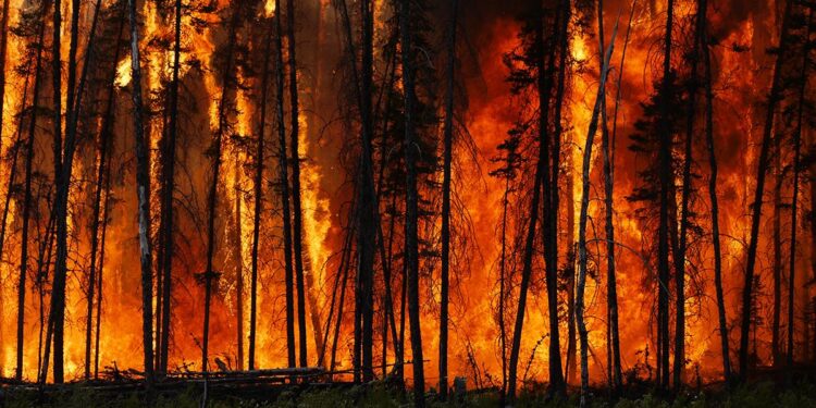 Wildfires force Turkey to shut Dardanelles Strait to shipping – BBC
