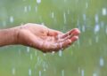 Rain curtails India run chase against Bangladesh – Cricket World Cup