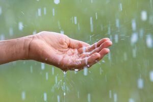 Rain curtails India run chase against Bangladesh – Cricket World Cup