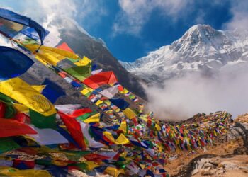 Nepal, Bangladesh, Sri Lanka: Is South Asia fertile for Gen Z revolutions? – Al Jazeera