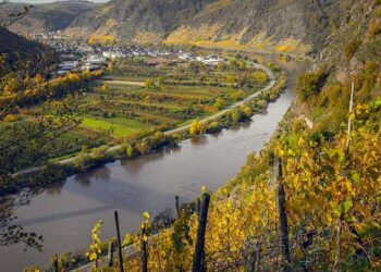 War hasn’t stopped Lebanon’s winemakers from producing world-class bottles – The Telegraph