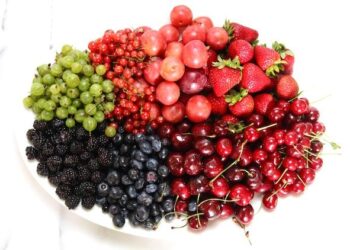 ‘We Are the Fruits of the Forest’ Review: Rithy Panh’s Insightful Doc – Variety