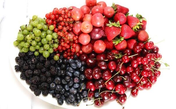 ‘We Are the Fruits of the Forest’ Review: Rithy Panh’s Insightful Doc – Variety