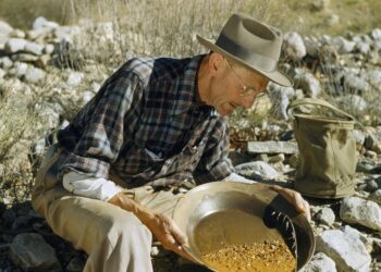 Global gold fever continues as central banks hoard; Thai imports surge over 207 tonnes in 9 months – Nation Thailand