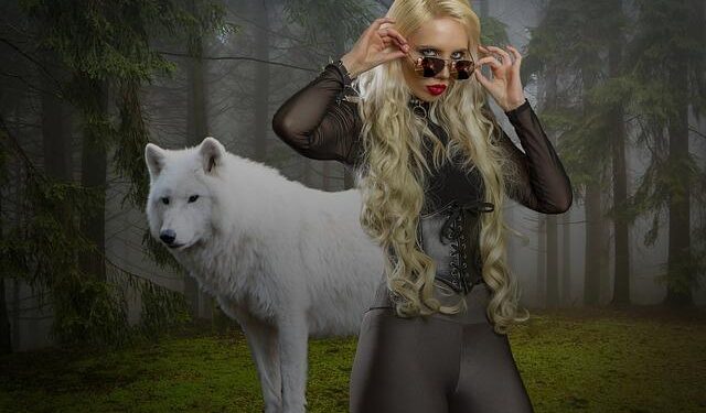 Iraq’s Feyli Kurds push beyond marginalization in November Elections – Shafaq News – شفق نيوز