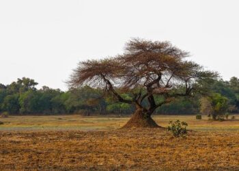 Editorial | National Games a step towards China being sporting superpower – South China Morning Post