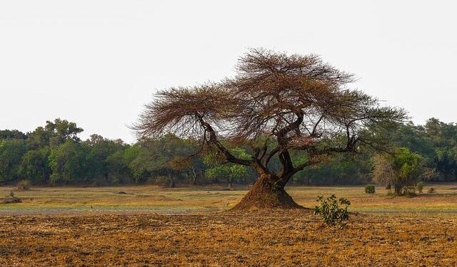 Editorial | National Games a step towards China being sporting superpower – South China Morning Post