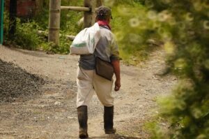 Five years pass since Armenia signs act of capitulation with Azerbaijan – Apa.az