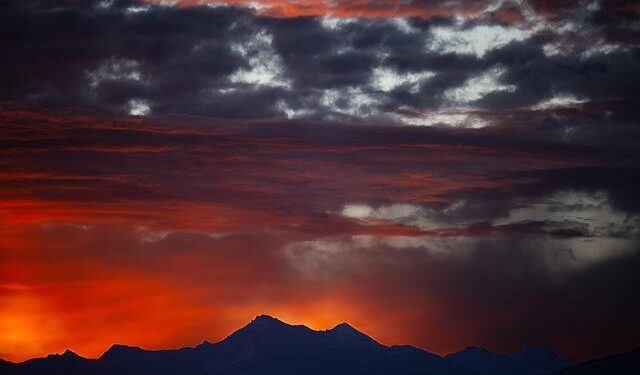 Bella Culley freed from Georgian prison – BBC