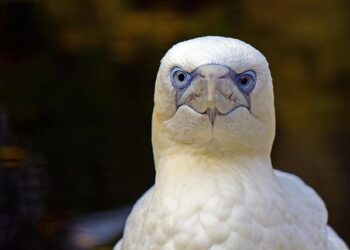 Ўзбекистон Миллий ахборот агентлиги – расмий хабарлар, тезкор янгиликлар, таҳлилий-танқидий материаллар, қонун ҳужжатлари, фото ва видеорепортажлар – Ўзбекистон Миллий ахборот агентлиги